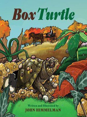 cover image of Box Turtle